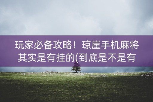玩家必备攻略！琼崖手机麻将其实是有挂的(到底是不是有挂)