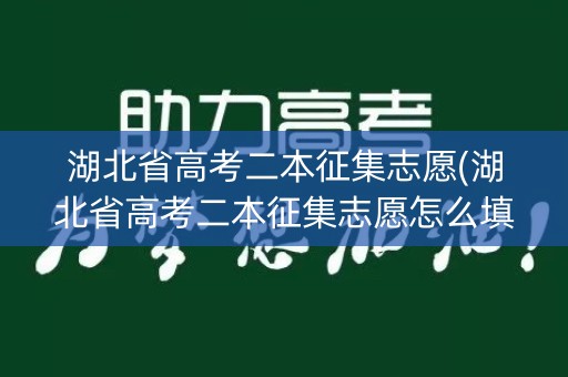 湖北省高考二本征集志愿(湖北省高考二本征集志愿怎么填)
