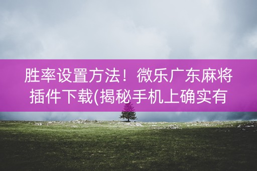 胜率设置方法！微乐广东麻将插件下载(揭秘手机上确实有猫腻)