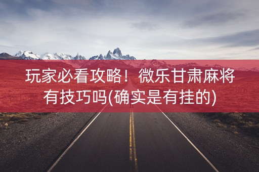 玩家必看攻略！微乐甘肃麻将有技巧吗(确实是有挂的)