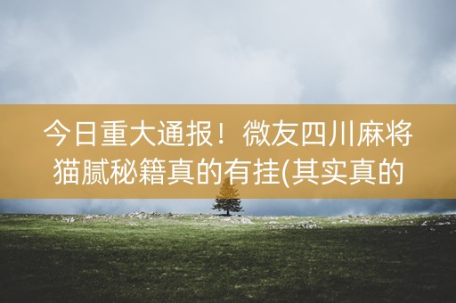 今日重大通报！微友四川麻将猫腻秘籍真的有挂(其实真的有挂)