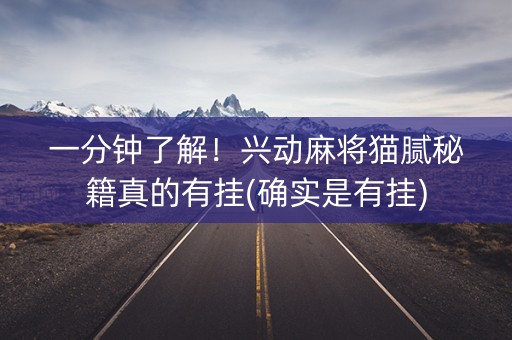 一分钟了解！兴动麻将猫腻秘籍真的有挂(确实是有挂)