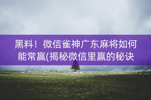 黑料！微信雀神广东麻将如何能常赢(揭秘微信里赢的秘诀)