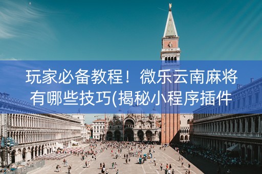 玩家必备教程！微乐云南麻将有哪些技巧(揭秘小程序插件购买)