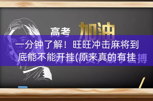 一分钟了解！旺旺冲击麻将到底能不能开挂(原来真的有挂)