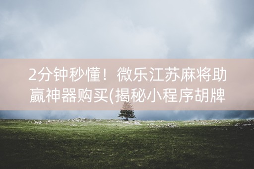 2分钟秒懂！微乐江苏麻将助赢神器购买(揭秘小程序胡牌技巧)
