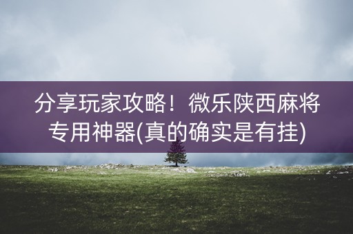 分享玩家攻略！微乐陕西麻将专用神器(真的确实是有挂)