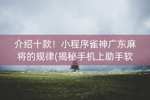 介绍十款！小程序雀神广东麻将的规律(揭秘手机上助手软件)