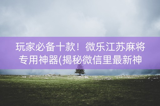 玩家必备十款！微乐江苏麻将专用神器(揭秘微信里最新神器下载)