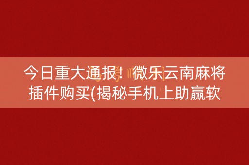今日重大通报！微乐云南麻将插件购买(揭秘手机上助赢软件)