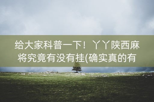 给大家科普一下！丫丫陕西麻将究竟有没有挂(确实真的有挂)