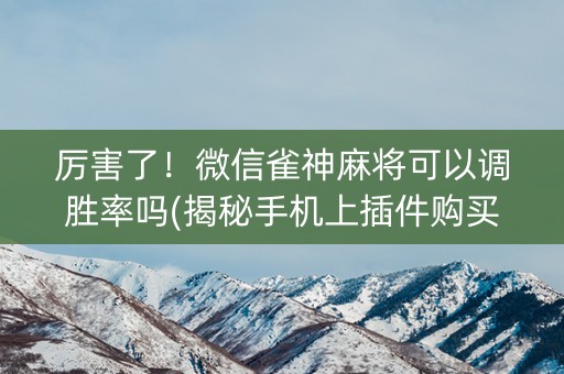 厉害了！微信雀神麻将可以调胜率吗(揭秘手机上插件购买)
