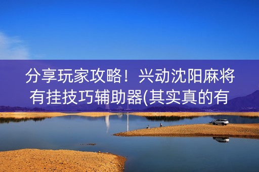 分享玩家攻略！兴动沈阳麻将有挂技巧辅助器(其实真的有挂)