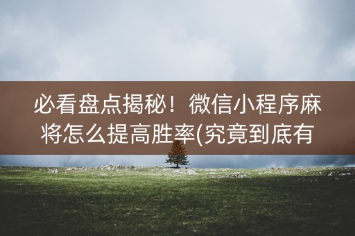 必看盘点揭秘！微信小程序麻将怎么提高胜率(究竟到底有挂吗)