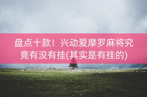 盘点十款！兴动爱摩罗麻将究竟有没有挂(其实是有挂的)