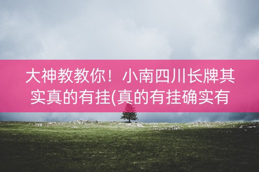 大神教教你！小南四川长牌其实真的有挂(真的有挂确实有挂)