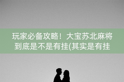 玩家必备攻略！大宝苏北麻将到底是不是有挂(其实是有挂的)