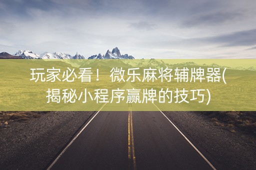 玩家必看！微乐麻将辅牌器(揭秘小程序赢牌的技巧)