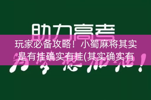 玩家必备攻略！小蜀麻将其实是有挂确实有挂(其实确实有挂)