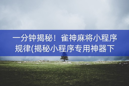 一分钟揭秘！雀神麻将小程序规律(揭秘小程序专用神器下载)