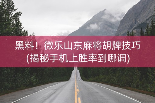 黑料！微乐山东麻将胡牌技巧(揭秘手机上胜率到哪调)