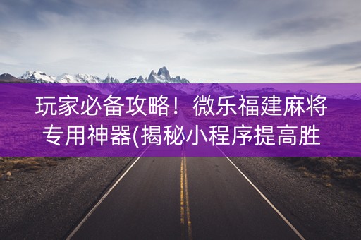 玩家必备攻略！微乐福建麻将专用神器(揭秘小程序提高胜率)