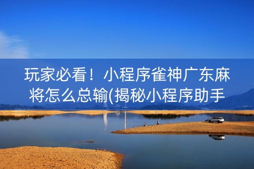 玩家必看！小程序雀神广东麻将怎么总输(揭秘小程序助手软件)