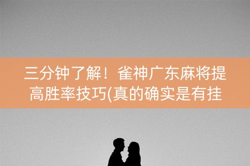 三分钟了解！雀神广东麻将提高胜率技巧(真的确实是有挂)