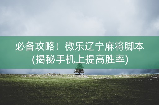 必备攻略！微乐辽宁麻将脚本(揭秘手机上提高胜率)