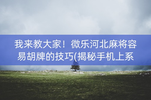 我来教大家！微乐河北麻将容易胡牌的技巧(揭秘手机上系统发好牌)