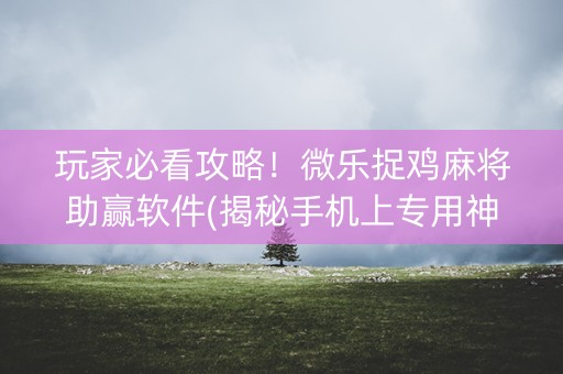 玩家必看攻略！微乐捉鸡麻将助赢软件(揭秘手机上专用神器下载)