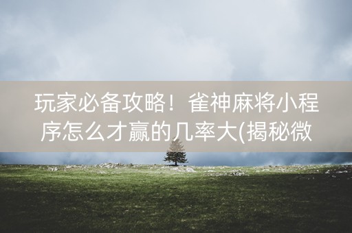 玩家必备攻略！雀神麻将小程序怎么才赢的几率大(揭秘微信里赢的秘诀)