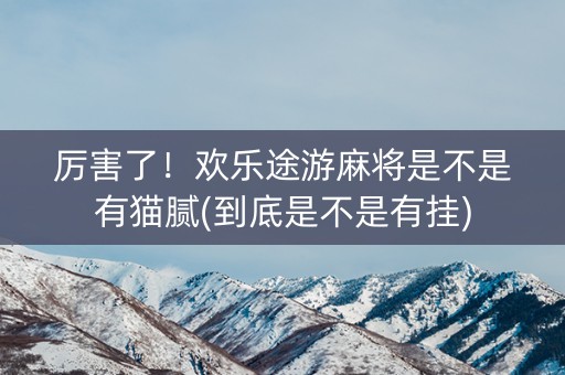 厉害了！欢乐途游麻将是不是有猫腻(到底是不是有挂)