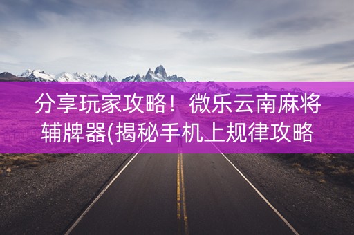 分享玩家攻略！微乐云南麻将辅牌器(揭秘手机上规律攻略)