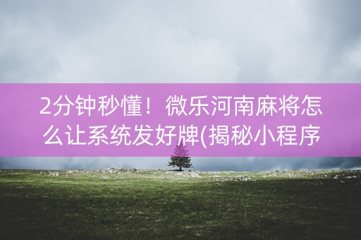 2分钟秒懂！微乐河南麻将怎么让系统发好牌(揭秘小程序插件下载)
