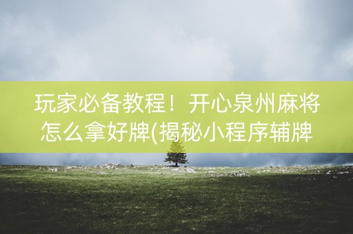玩家必备教程！开心泉州麻将怎么拿好牌(揭秘小程序辅牌器)