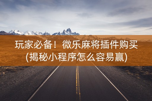 玩家必备！微乐麻将插件购买(揭秘小程序怎么容易赢)