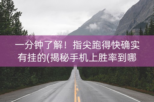 一分钟了解！指尖跑得快确实有挂的(揭秘手机上胜率到哪调)