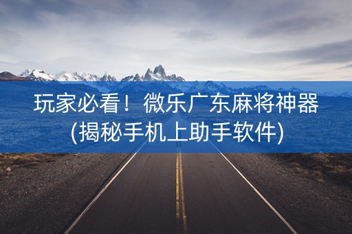 玩家必看！微乐广东麻将神器(揭秘手机上助手软件)
