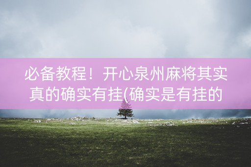 必备教程！开心泉州麻将其实真的确实有挂(确实是有挂的)