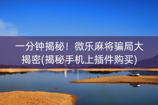 一分钟揭秘！微乐麻将骗局大揭密(揭秘手机上插件购买)