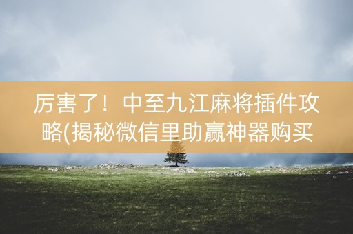 厉害了！中至九江麻将插件攻略(揭秘微信里助赢神器购买)