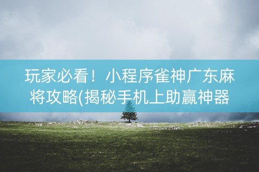 玩家必看！小程序雀神广东麻将攻略(揭秘手机上助赢神器购买)