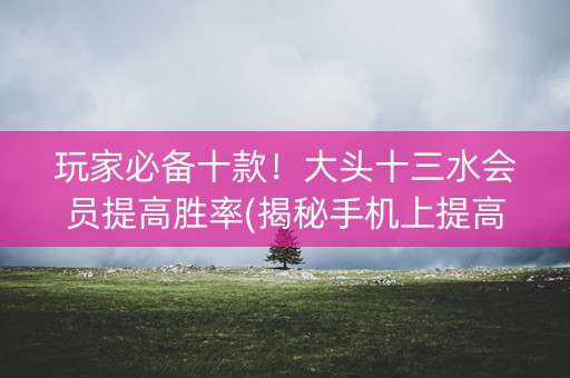 玩家必备十款！大头十三水会员提高胜率(揭秘手机上提高胜率)