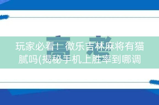 玩家必看！微乐吉林麻将有猫腻吗(揭秘手机上胜率到哪调)
