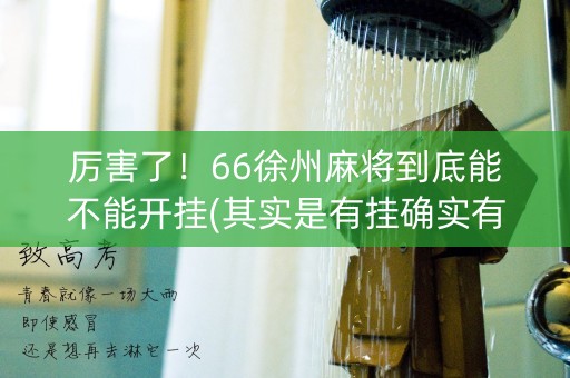 厉害了！66徐州麻将到底能不能开挂(其实是有挂确实有挂)