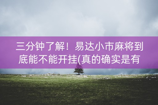 三分钟了解！易达小市麻将到底能不能开挂(真的确实是有挂)