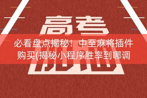 必看盘点揭秘！中至麻将插件购买(揭秘小程序胜率到哪调)