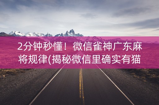 2分钟秒懂！微信雀神广东麻将规律(揭秘微信里确实有猫腻)