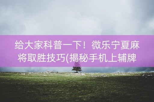 给大家科普一下！微乐宁夏麻将取胜技巧(揭秘手机上辅牌器)